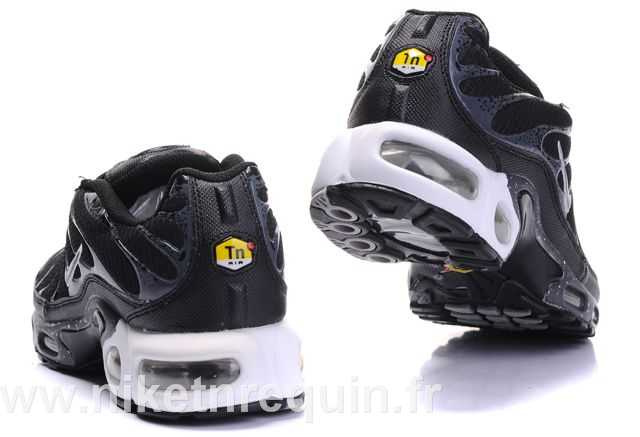 tn 2010 noir (3).JPG